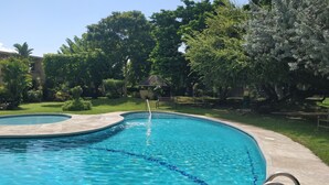 Una piscina de diseño curvo, rodeada de exuberante vegetación y árboles.