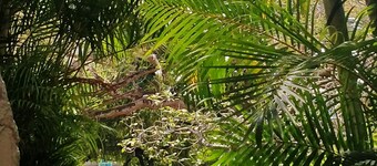 City Charm & Poolside Peace -Gated