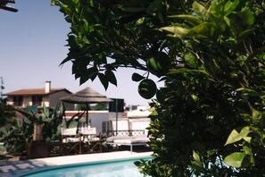 Unclassified image, 4 of 31, button