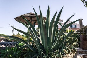 Exterior detail - 2 Bedroom Traditional Apartment, Garden View (Assofora)