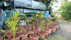 Potted plants arranged in rows outside a building with a blue barrel and a sign. - Rio Forest Resort (Karjat)