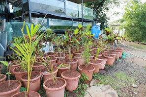 Exterior - Rio Forest Resort (Karjat)