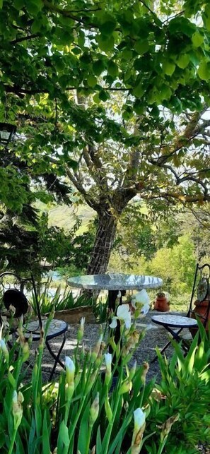 Property grounds - Casa Stella Country House (Valsamoggia)