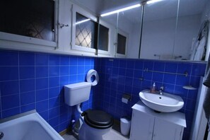 Hair dryer, towels, soap, toilet paper - chalet with breathtaking views of the alps (Crans-Montana)