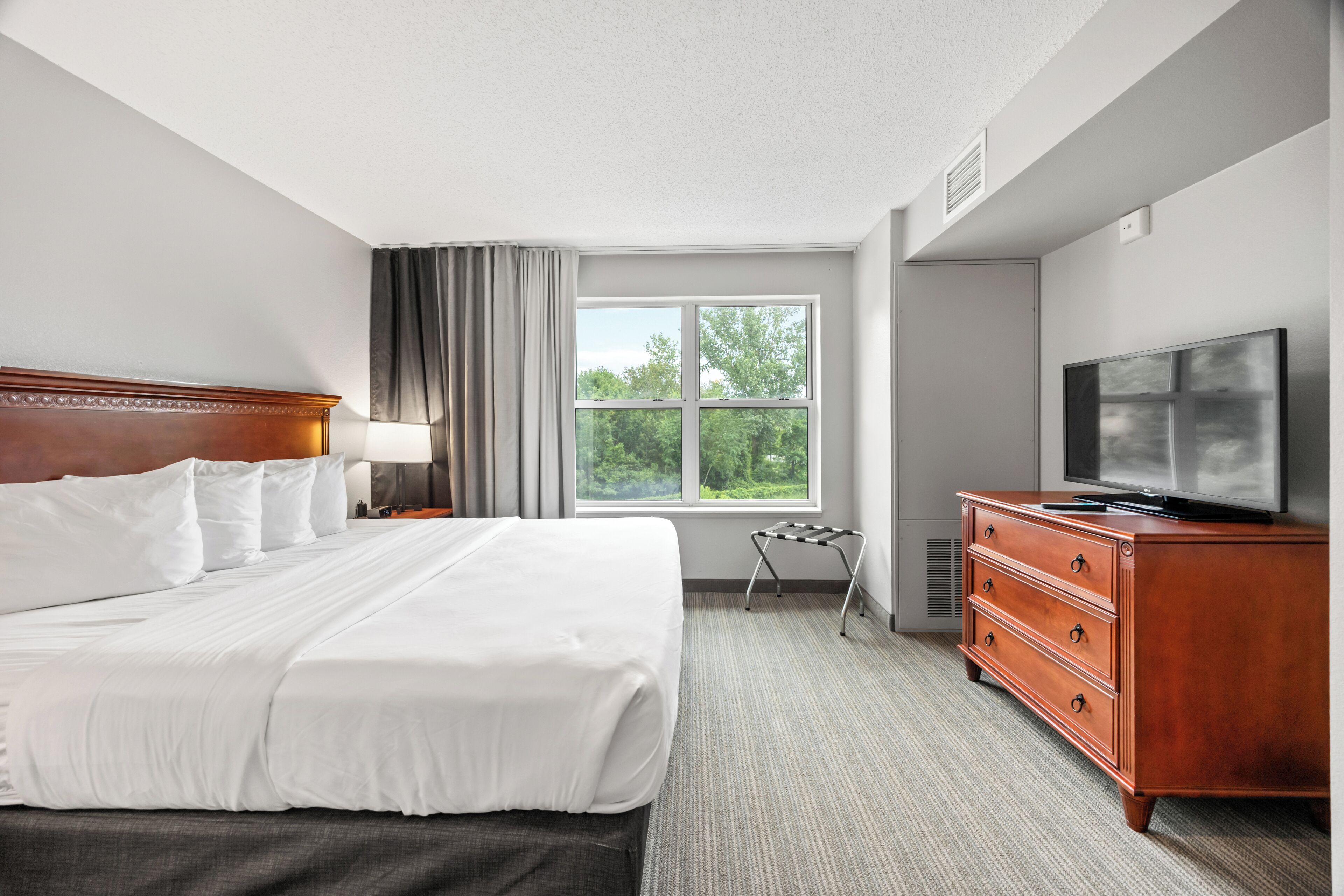 A hotel room with a large bed, a television, a dresser, and a window with a view of trees.