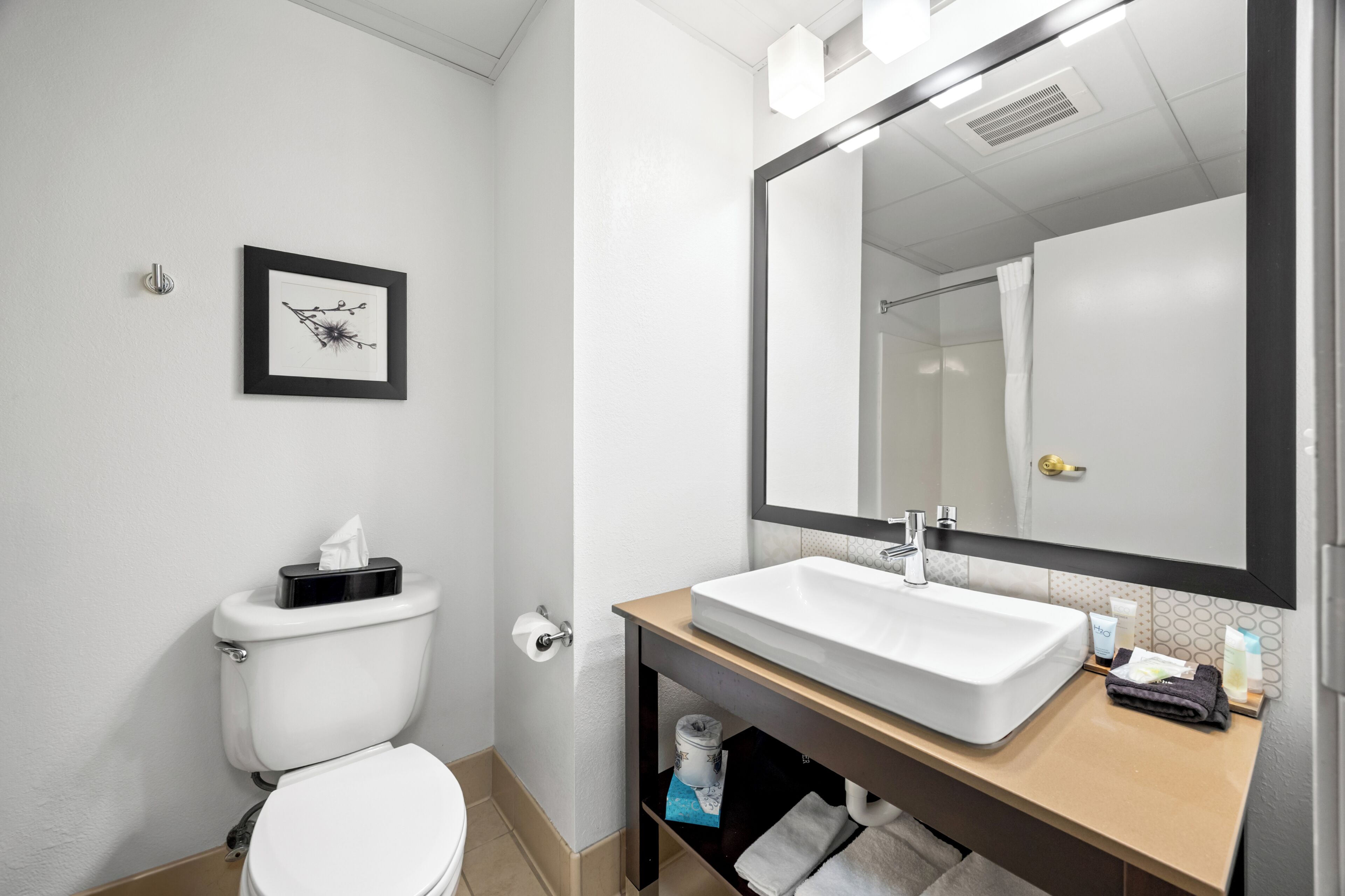 A bathroom with a toilet, sink, mirror, and a framed picture on the wall.