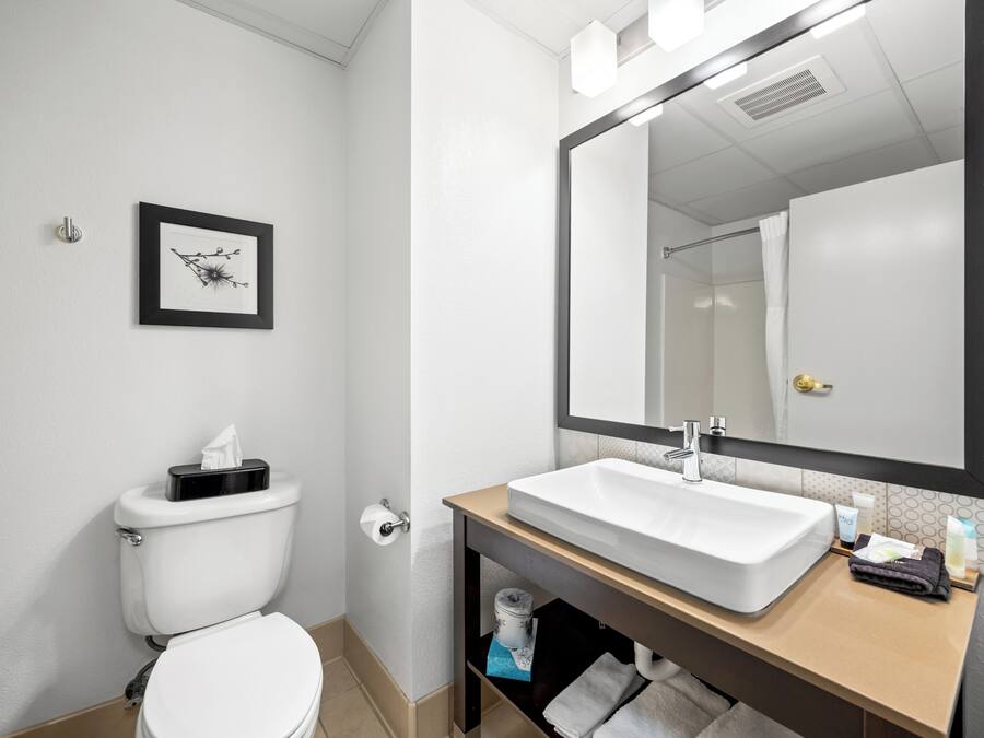 A bathroom with a toilet, sink, mirror, and a framed picture on the wall.