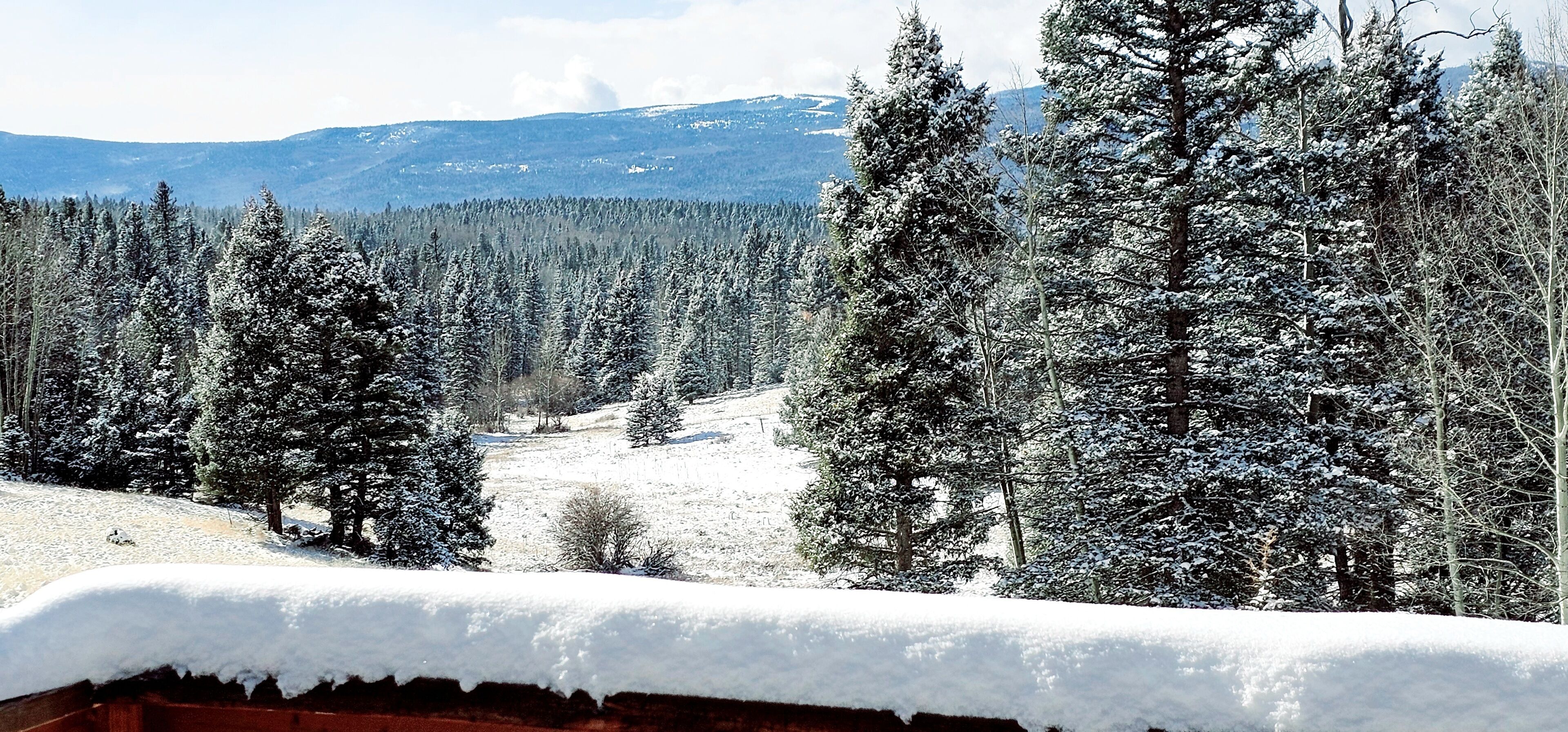 Amazing VIEW! Near SKI Area - Circle B Mountain Home