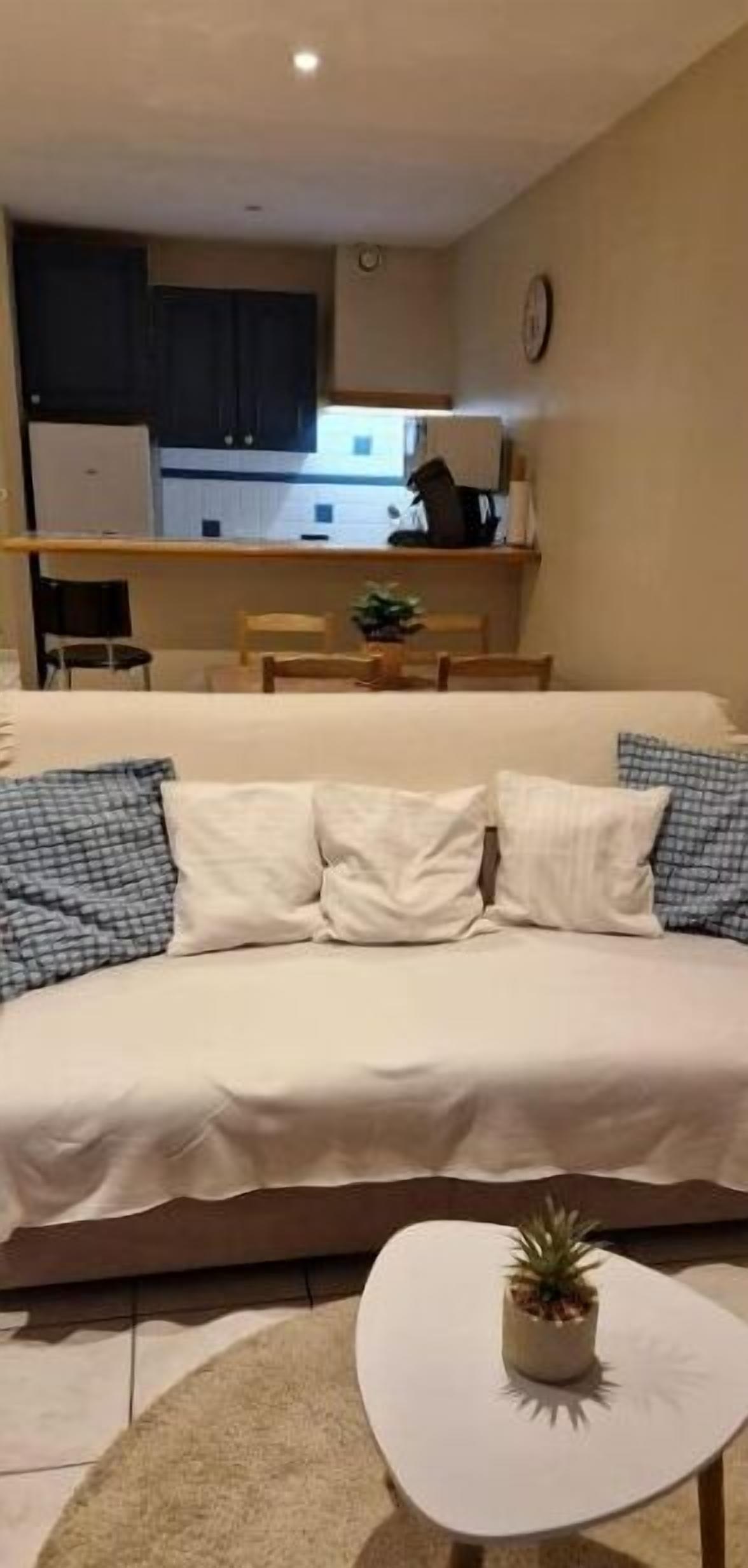 Ein Wohnzimmer mit einer Couch, einem kleinen Tisch mit einer Pflanze und einer Küche im Hintergrund.