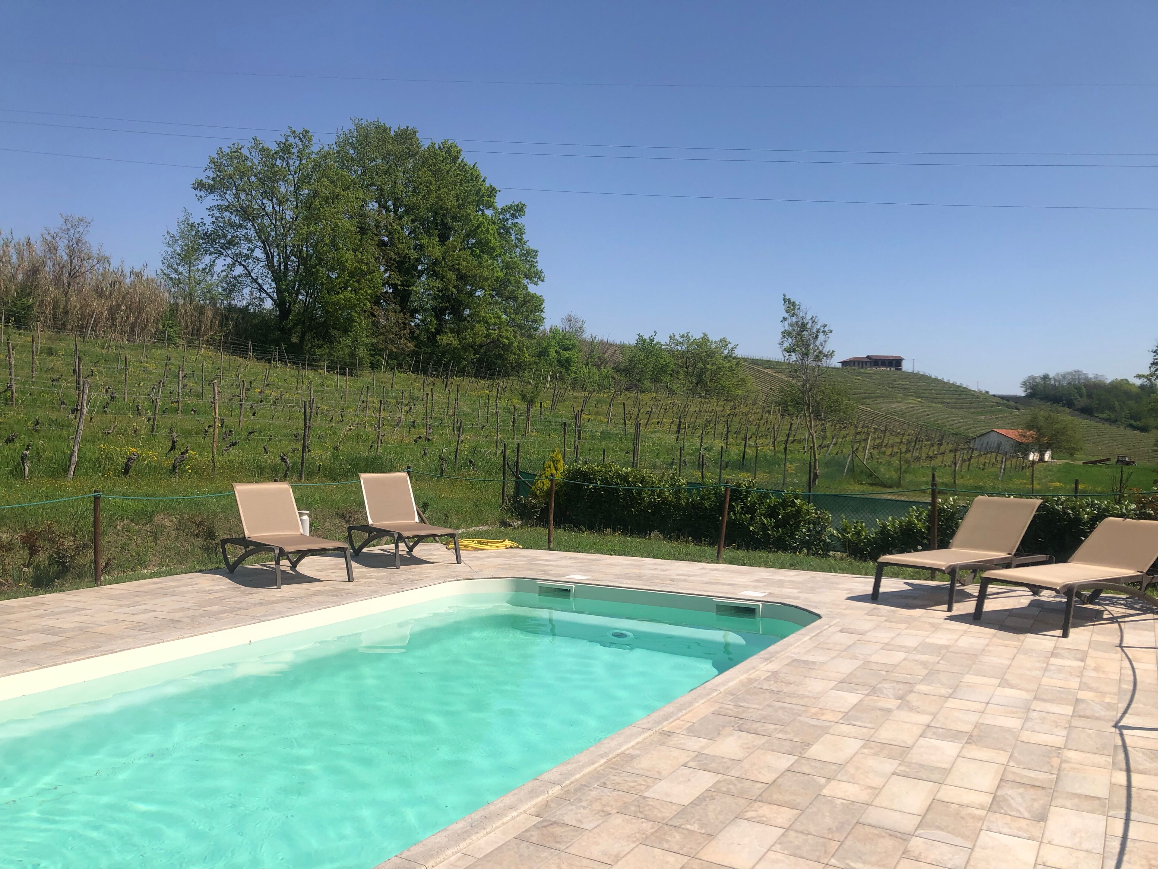 A swimming pool with lounge chairs and a vineyard in the background.