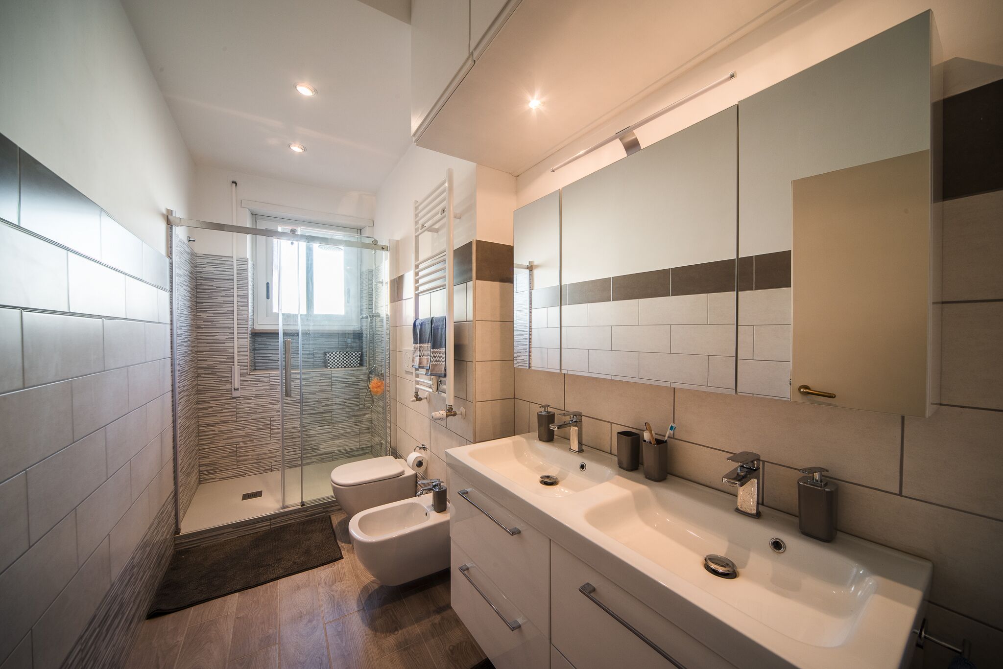 Shower, hair dryer, bidet, towels
