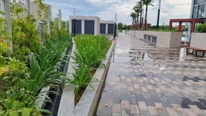 Un sendero pavimentado con un canal de drenaje bordeado de plantas, un edificio moderno con amplios ventanales y una palmera al fondo.