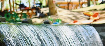 Sons Rio Cibolo Safari Cabin 1