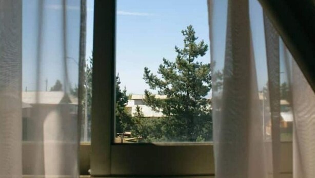A window with sheer curtains, a clear view of trees and buildings outside. - Altos de Pichilemu 10 (Pichilemu)