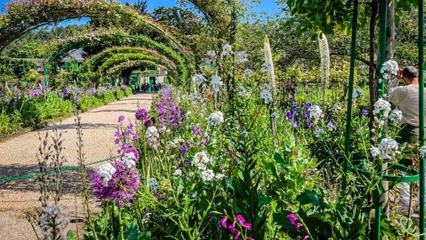 Un sentier de jardin orné d’une arche incurvée recouverte de verdure, entouré de différentes plantes à fleurs.