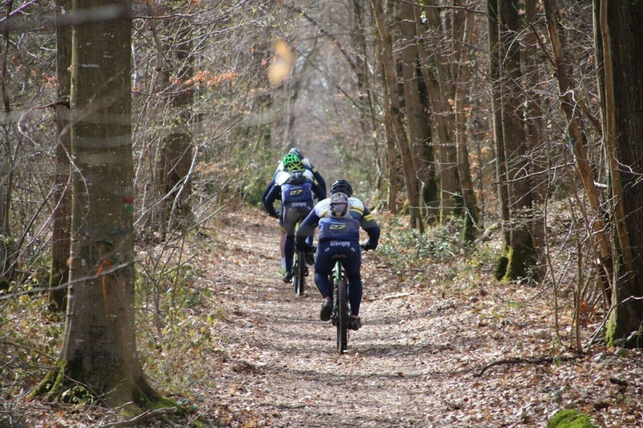 Tres ciclistas en un sendero forestal.