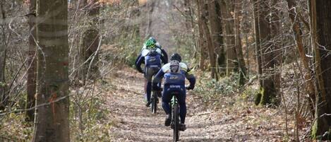 Tres ciclistas en un sendero forestal.