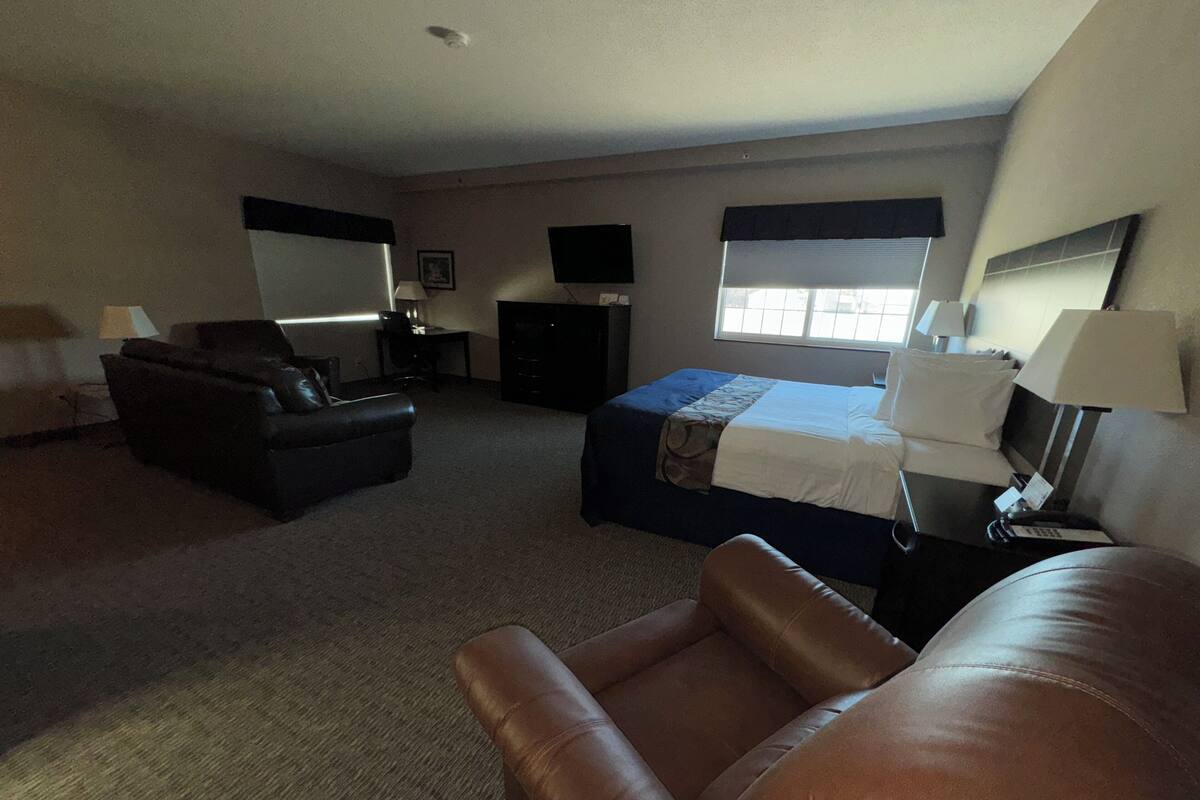 A hotel room with a bed, a sofa, a desk, and a TV.
