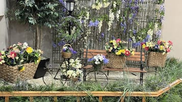 Tuin