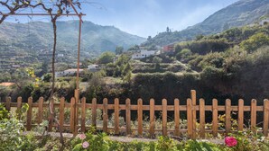 A wooden fence with a vineyard in the background, surrounded by greenery and a clear sky. - Casa Abuela - House in the countryside with pool (Vega de San Mateo)