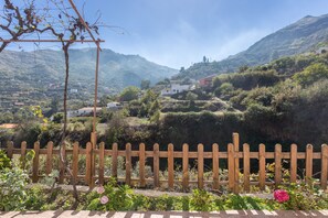 Property grounds - Casa Abuela - House in the countryside with pool (Vega de San Mateo)