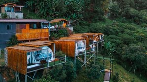 A multi-level treehouse structure with elevated platforms and transparent walls, surrounded by dense forest. - MonLomNao Homestay (Mae Rim)