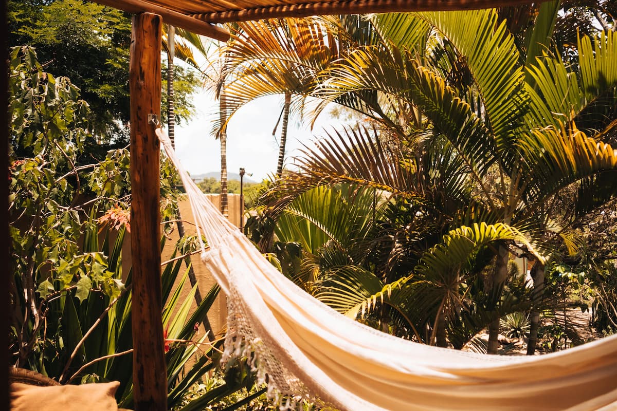 A hammock in a lush garden with various tropical plants and a wooden pergola.