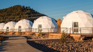 A row of geodesic dome structures with a paved walkway in front, surrounded by a fence and a forested hillside in the background.