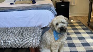 1 間睡房、Wi-Fi、床單