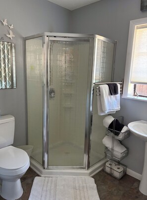 Shower, hair dryer, towels, soap