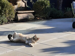 Àrea exterior de l'allotjament