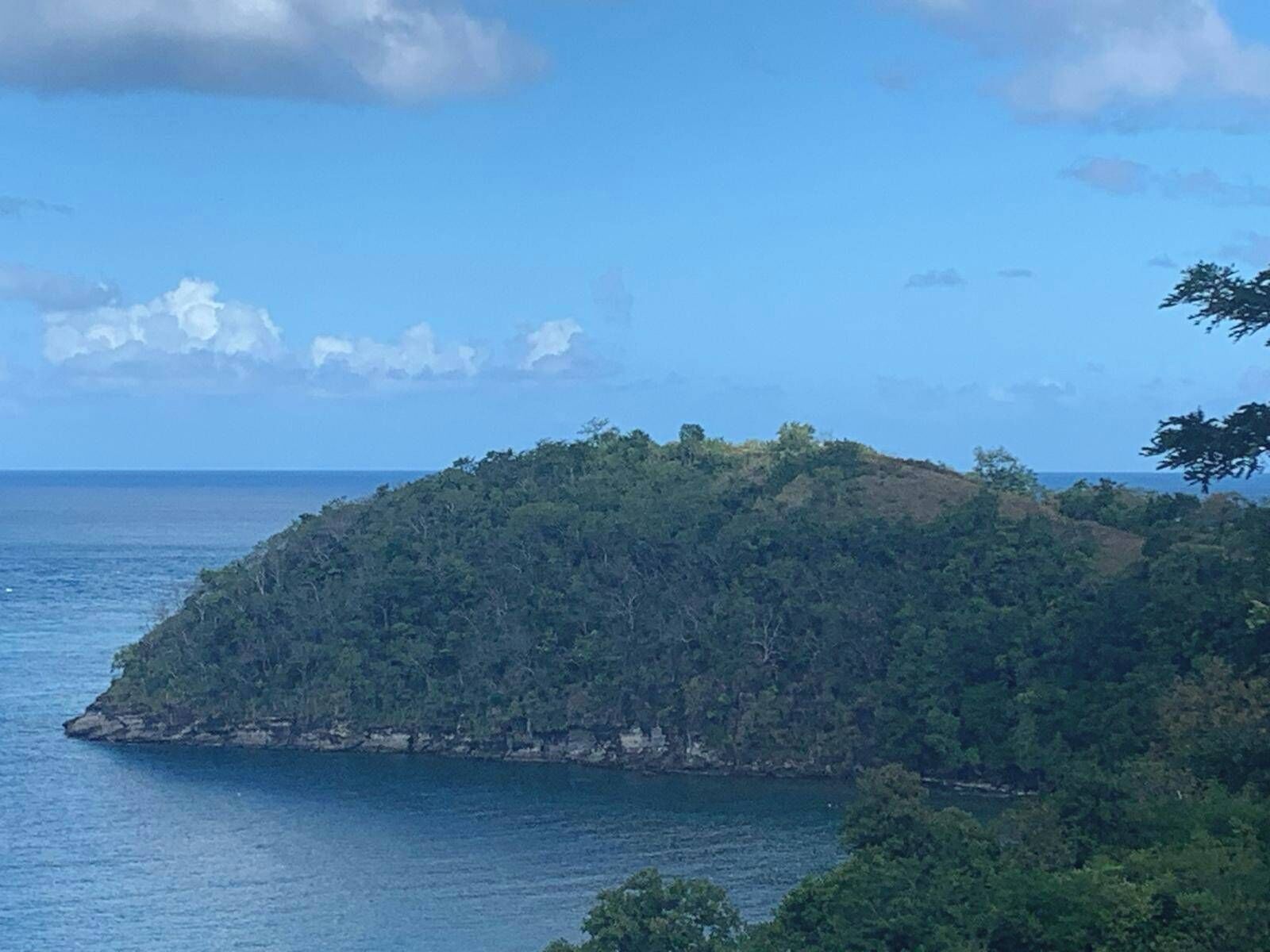 A coastal landscape with a small, densely forested island surrounded by calm sea.