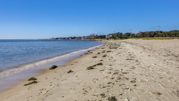 A sandy beach with seaweed and footprints, a clear blue sky, and distant buildings.