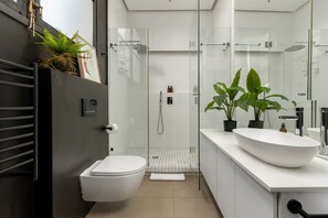 Shower, hair dryer, towels, shampoo