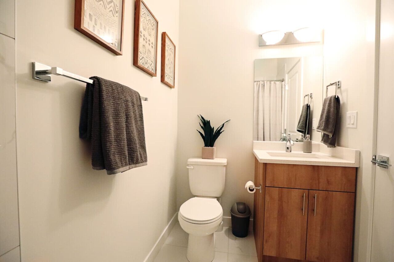 A bathroom with a toilet, sink, and mirror. There are towels hanging on a rack and a potted plant on the toilet.