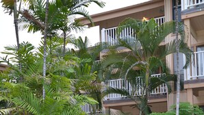 A lush garden with a curved pathway, palm trees, and various flowering plants. - Sea Village (Kailua-Kona)