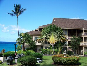 Garden - Sea Village (Kailua-Kona)