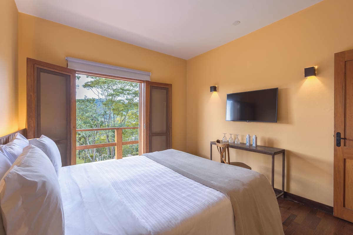 A hotel room with a large bed, a TV mounted on the wall, and a window offering a view of trees.