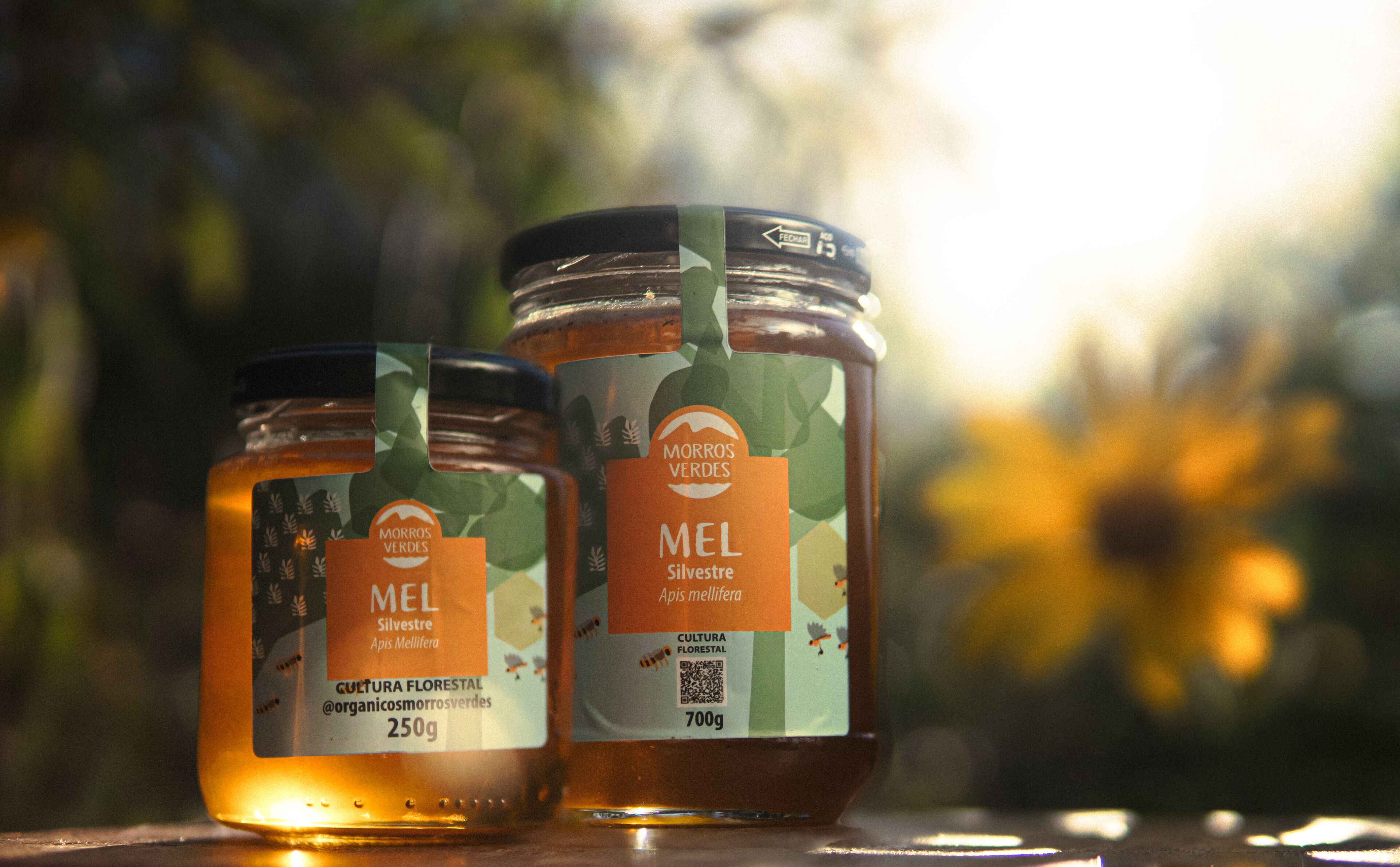 Two jars of Morros Verdes MEL Silvestre honey with labels indicating 250g and 700g.
