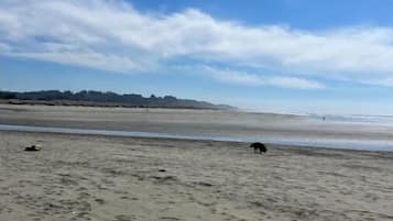 Teli da spiaggia