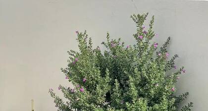 La Ventana Apartments 3 Bedrooms Home #6