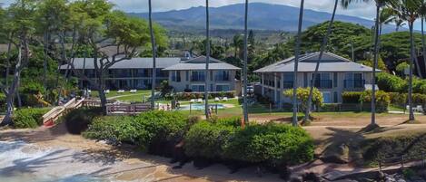 Une propriété située en bord de mer, comprenant plusieurs bâtiments, une piscine et des palmiers.