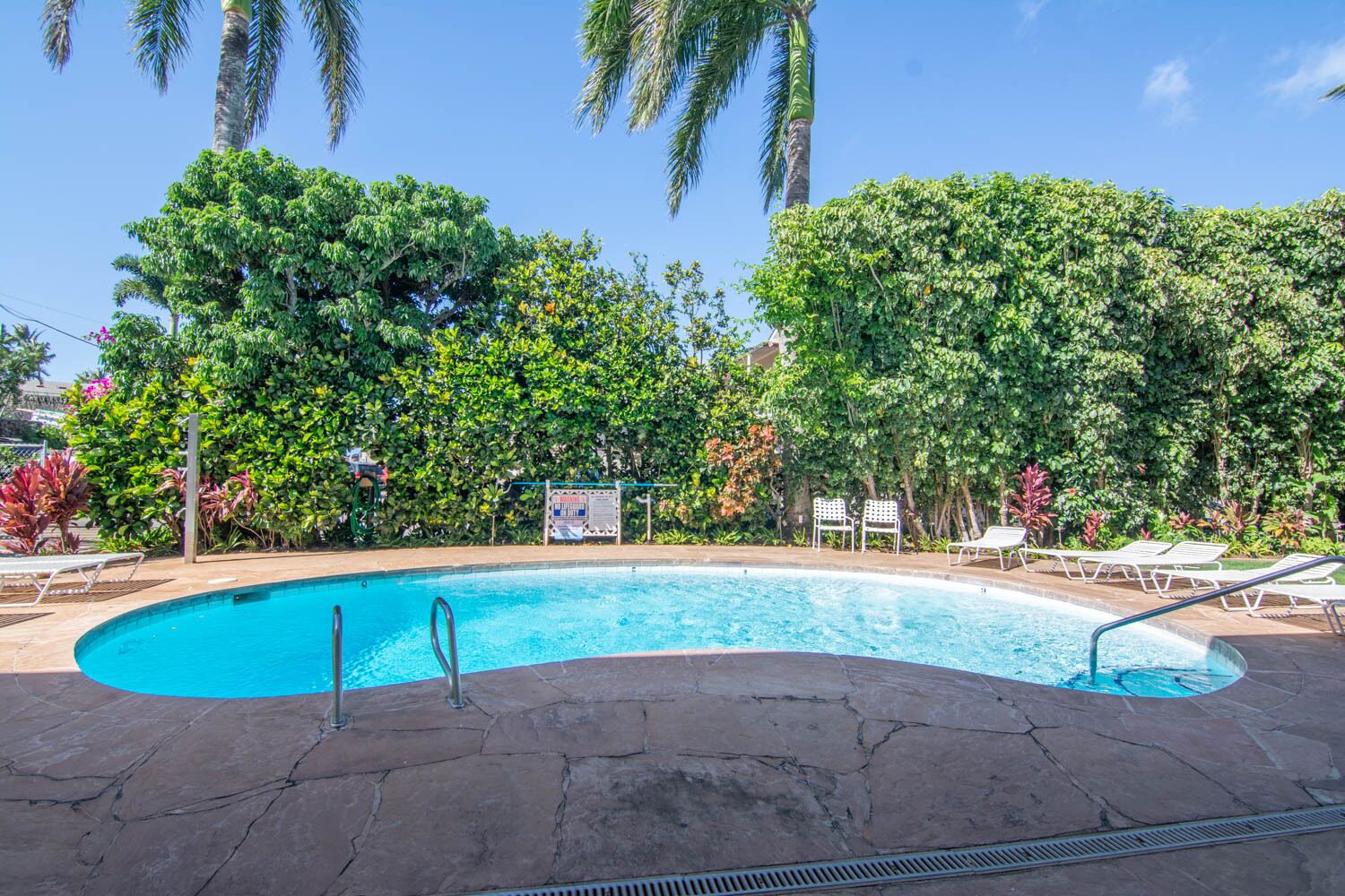 Una piscina con solárium de piedra, rodeada de exuberante vegetación y palmeras.