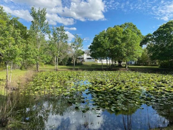 Property grounds - Family retreat in Homosassa, nature coast. (Homosassa)