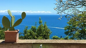 Ein Kaktus in einem Terrakottatopf auf einem Balkon mit Blick auf ein klares, blaues Meer und einem Schiff in der Ferne.
