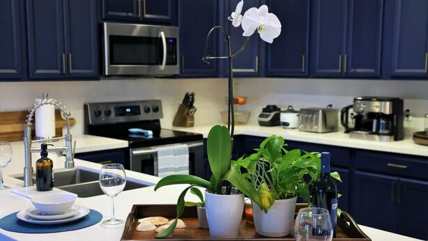 A kitchen with dark blue cabinets, a stainless steel microwave, a coffee maker, and a tray with a white orchid, green plants, and a wine bottle. - BaeCation Dania! Near Fort Lauderdale Airport, beach & casino!
pool & jacuzzi! (Dania Beach)