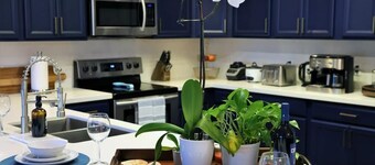 BaeCation Dania! Near Fort Lauderdale Airport, beach & casino!
pool & jacuzzi!