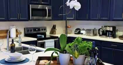 BaeCation Dania! Near Fort Lauderdale Airport, beach & casino!
pool & jacuzzi!