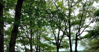 Parkwood Manor at Bear Creek Lakes in Jim Thorpe