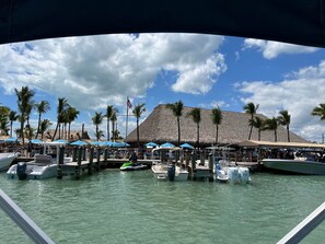 A marina with boats docked, a thatched-roof building, and palm trees.